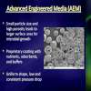 Slide11